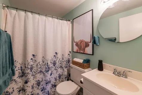 67 Bourn Brook Road Manchester VT 05255