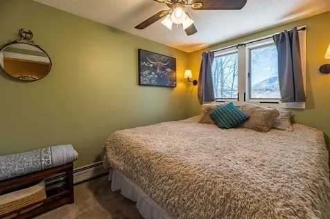 67 Bourn Brook Road Manchester VT 05255