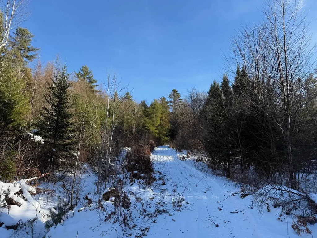 0 Waterford Hollow Lane Waterford VT 05819