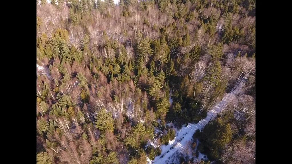 0 Waterford Hollow Lane Waterford VT 05819