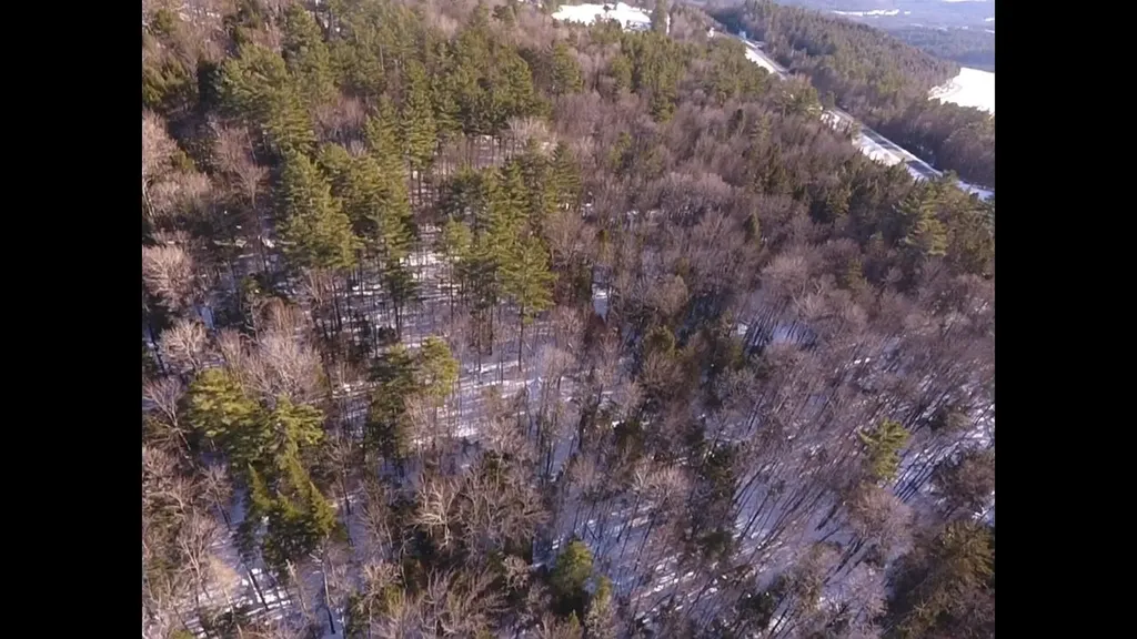 0 Waterford Hollow Lane Waterford VT 05819