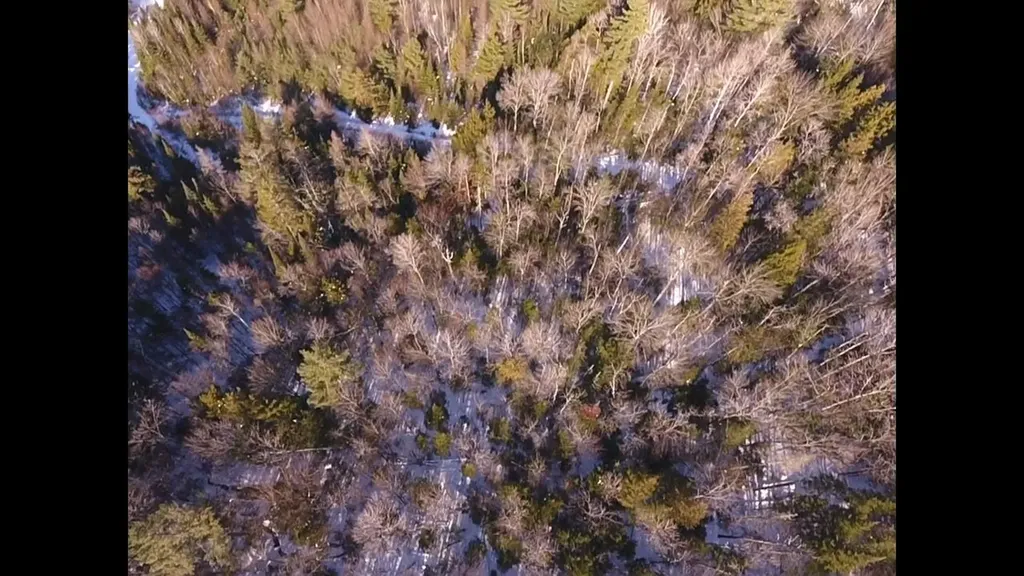 0 Waterford Hollow Lane Waterford VT 05819