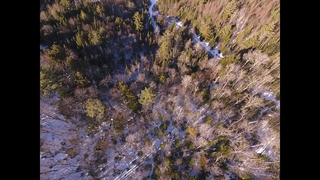 0 Waterford Hollow Lane Waterford VT 05819