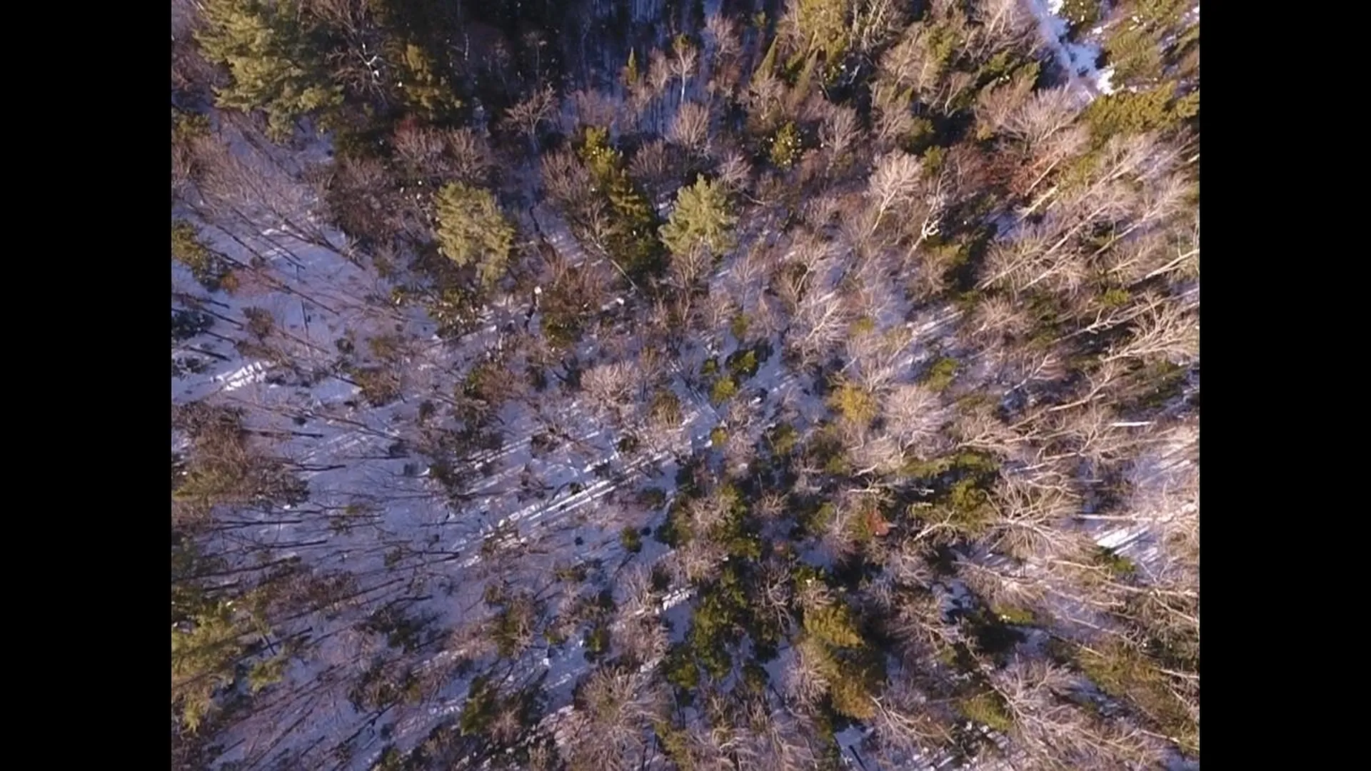 0 Waterford Hollow Lane Waterford VT 05819