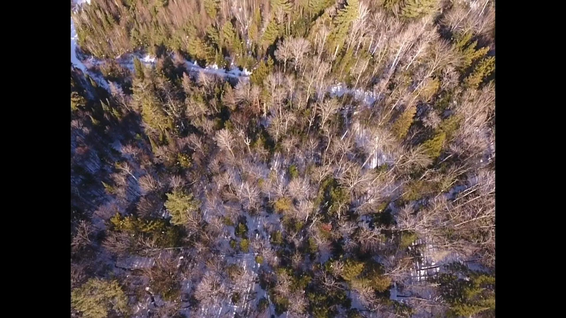 0 Waterford Hollow Lane Waterford VT 05819