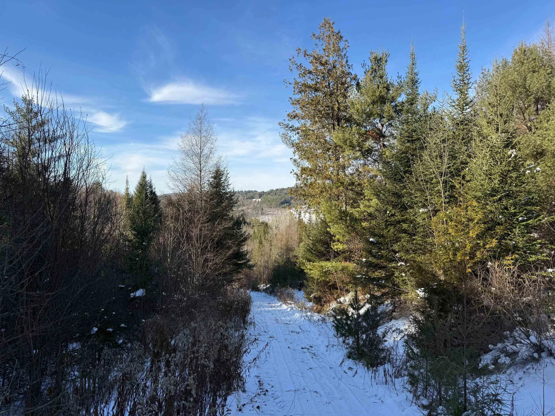 0 Waterford Hollow Lane Waterford VT 05819