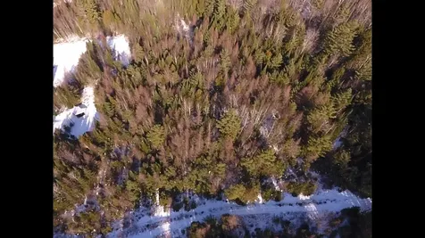 0 Waterford Hollow Lane Waterford VT 05819