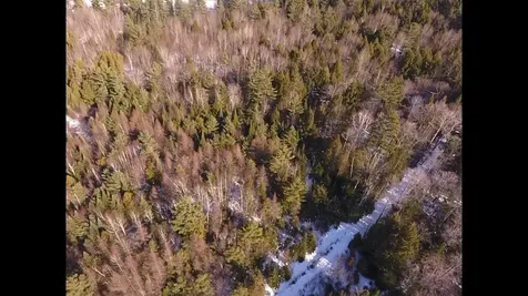 0 Waterford Hollow Lane Waterford VT 05819