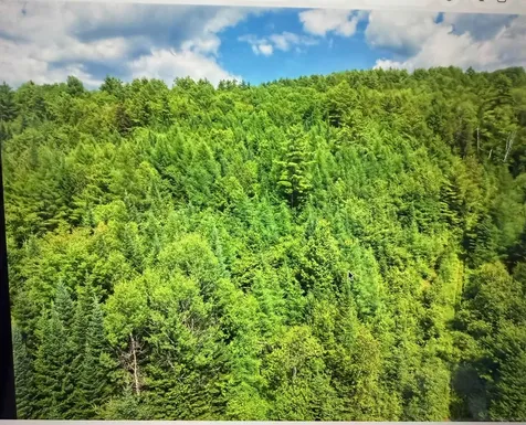 0 Waterford Hollow Lane Waterford VT 05819