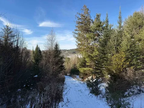 0 Waterford Hollow Lane Waterford VT 05819