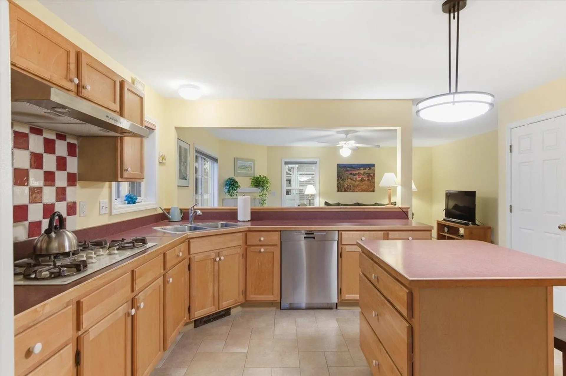 197 Catkin Drive South Burlington VT 05403