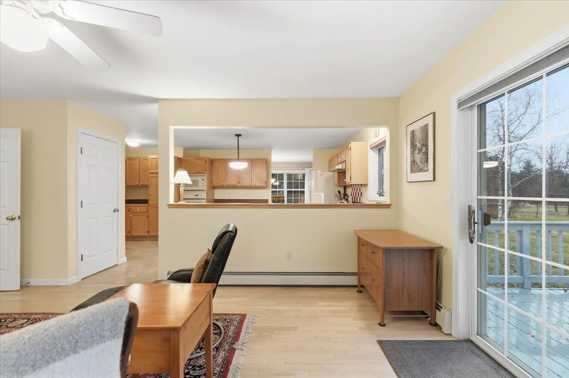 197 Catkin Drive South Burlington VT 05403