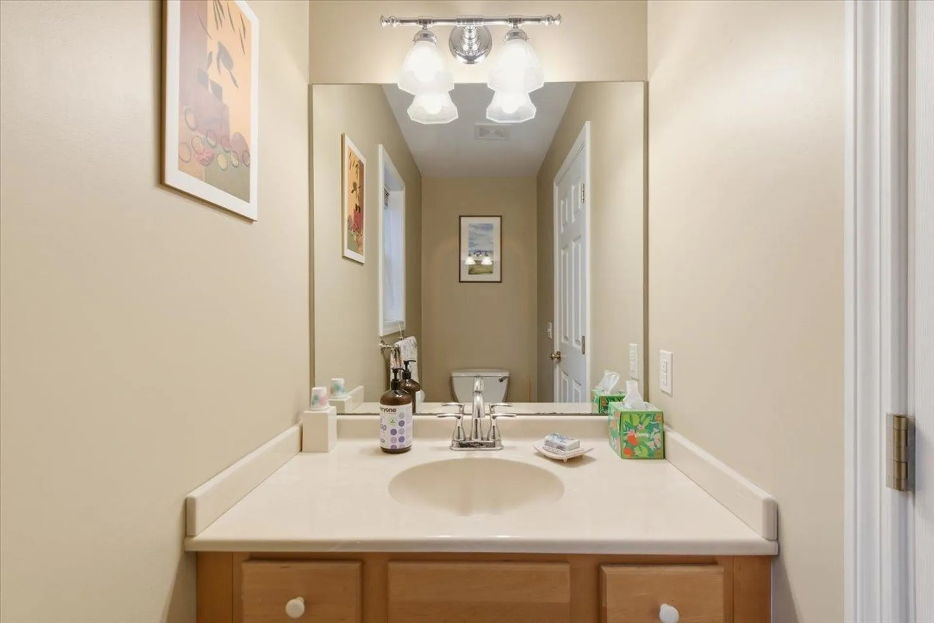 197 Catkin Drive South Burlington VT 05403