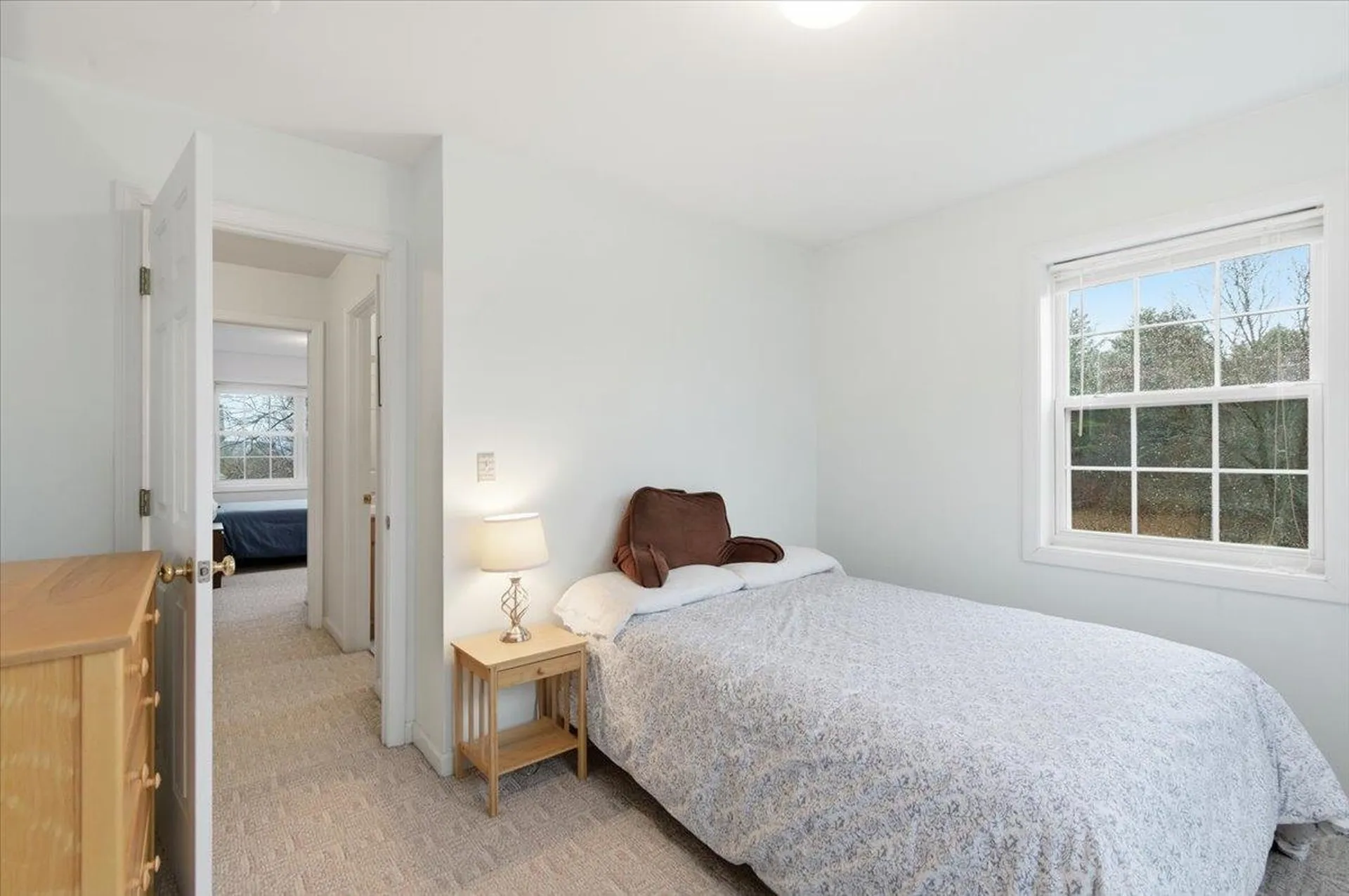 197 Catkin Drive South Burlington VT 05403