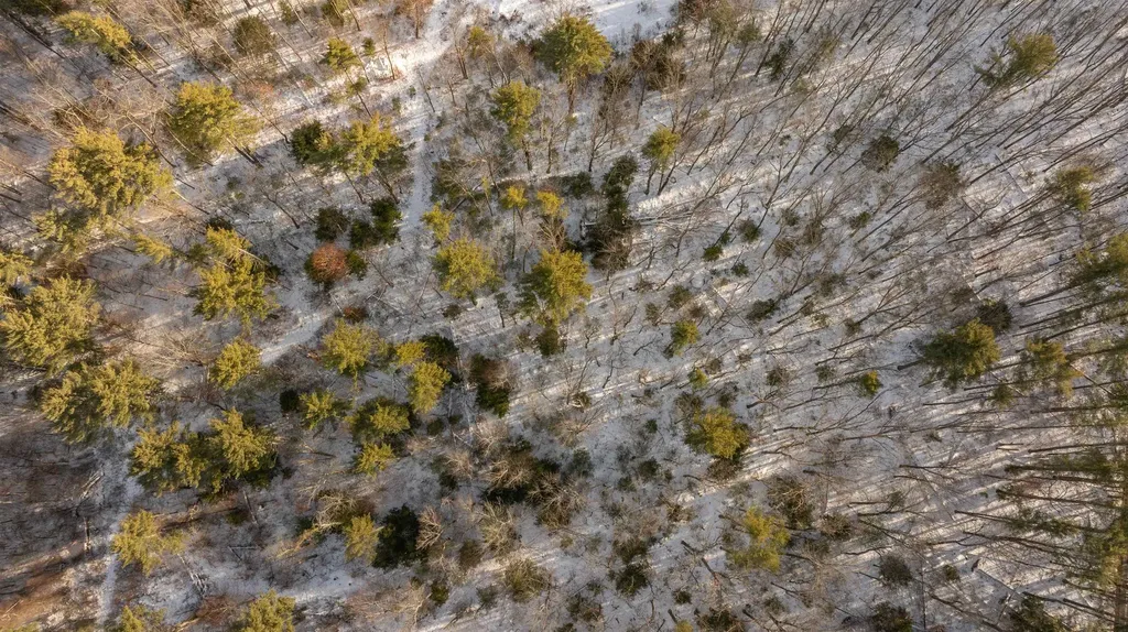 Lot 56-3 Chester Road Auburn NH 03032