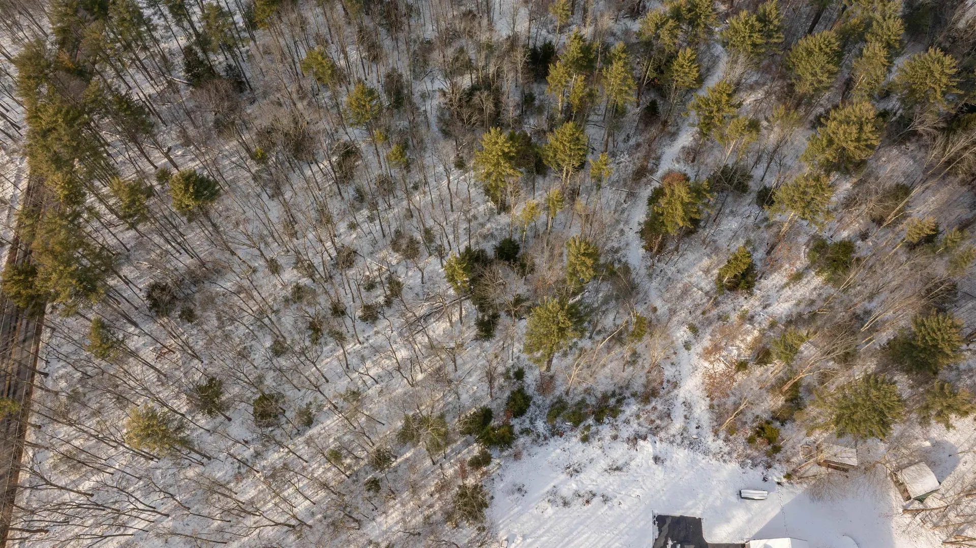 Lot 56-3 Chester Road Auburn NH 03032