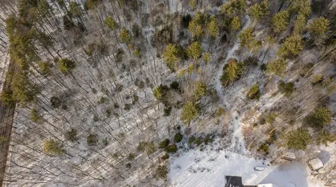 Lot 56-3 Chester Road Auburn NH 03032