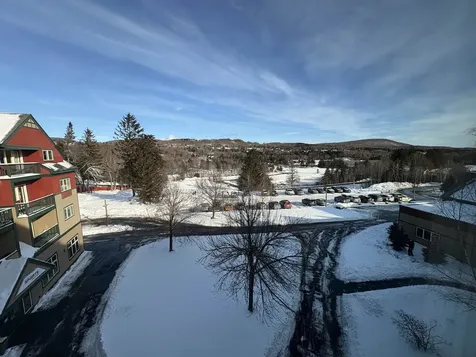 354 Qtr. 2, 89 Grand Summit Way Dover VT 05356