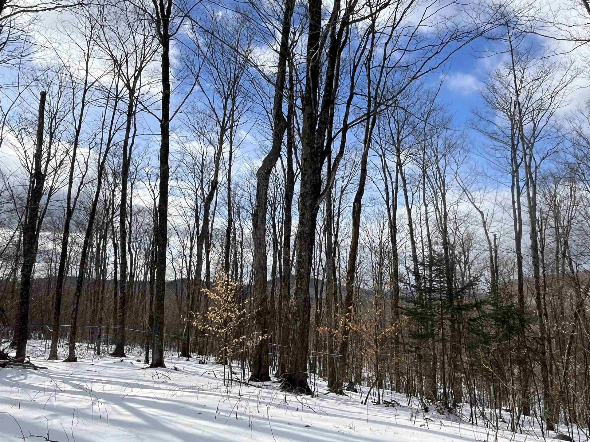 2924 New Duck Pond Road Sheffield VT 05866