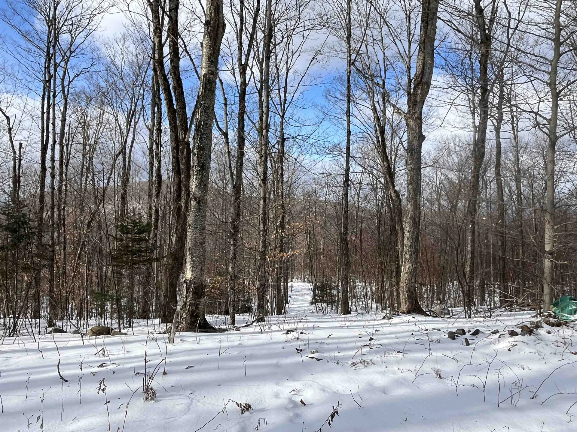 2924 New Duck Pond Road Sheffield VT 05866