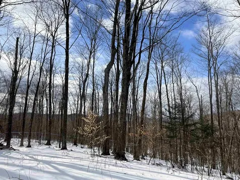 2924 New Duck Pond Road Sheffield VT 05866