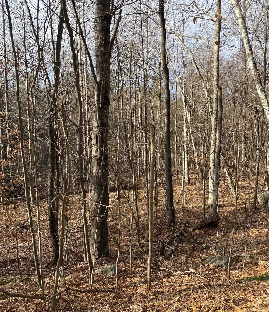 8 Fred Johnson Circle Middlebury VT 05753