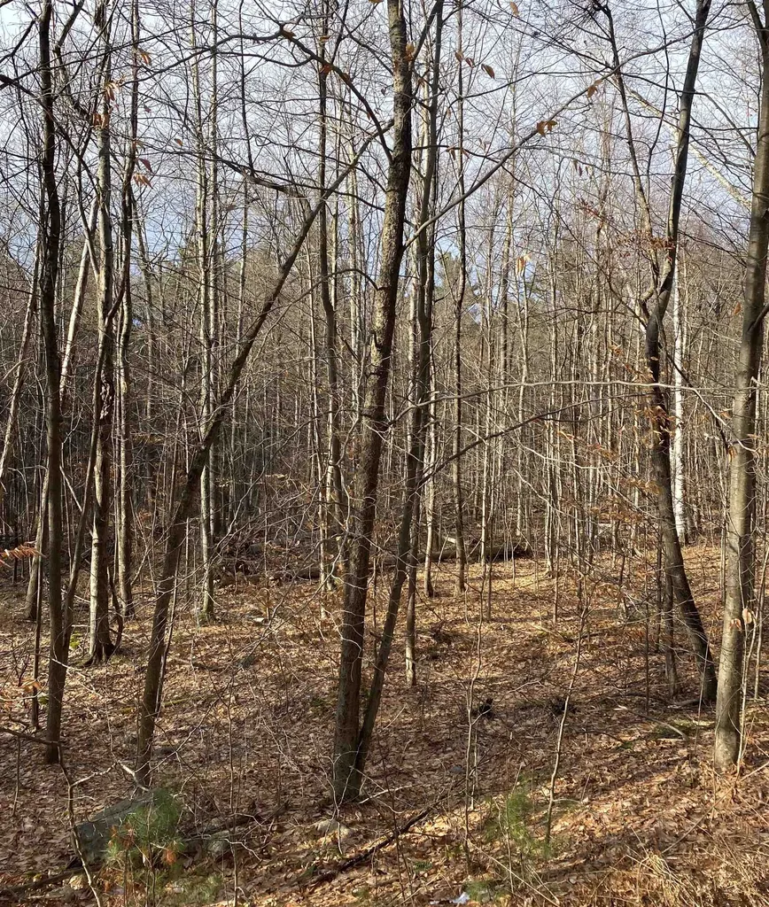 8 Fred Johnson Circle Middlebury VT 05753