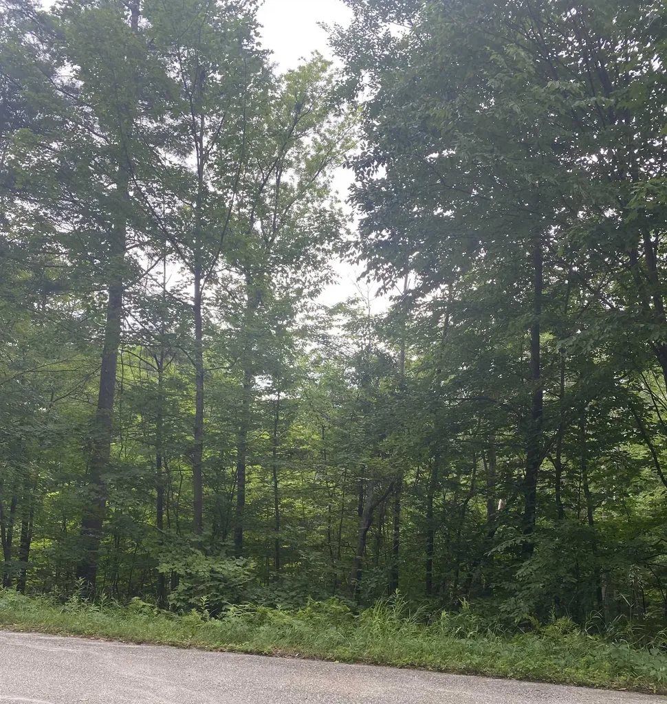 8 Fred Johnson Circle Middlebury VT 05753