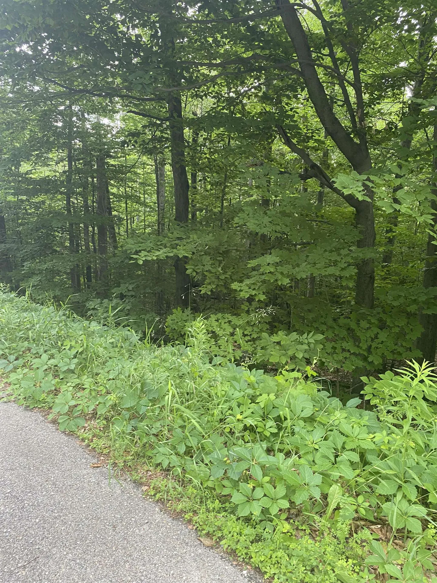 8 Fred Johnson Circle Middlebury VT 05753