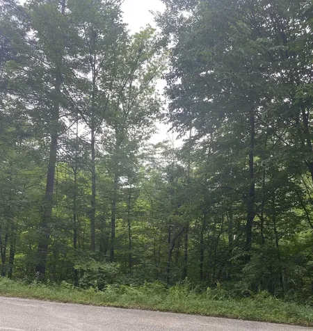 8 Fred Johnson Circle Middlebury VT 05753