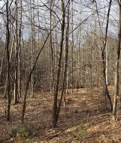 8 Fred Johnson Circle Middlebury VT 05753