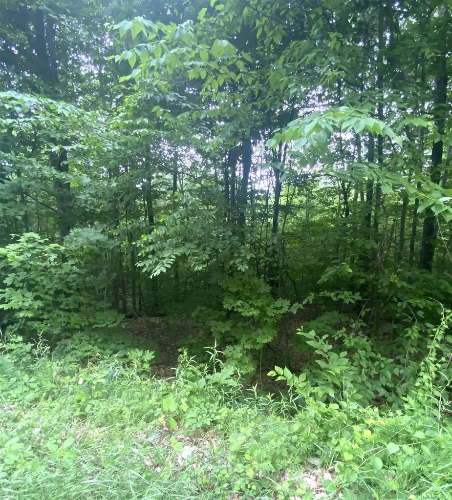6 Fred Johnson Circle Middlebury VT 05753