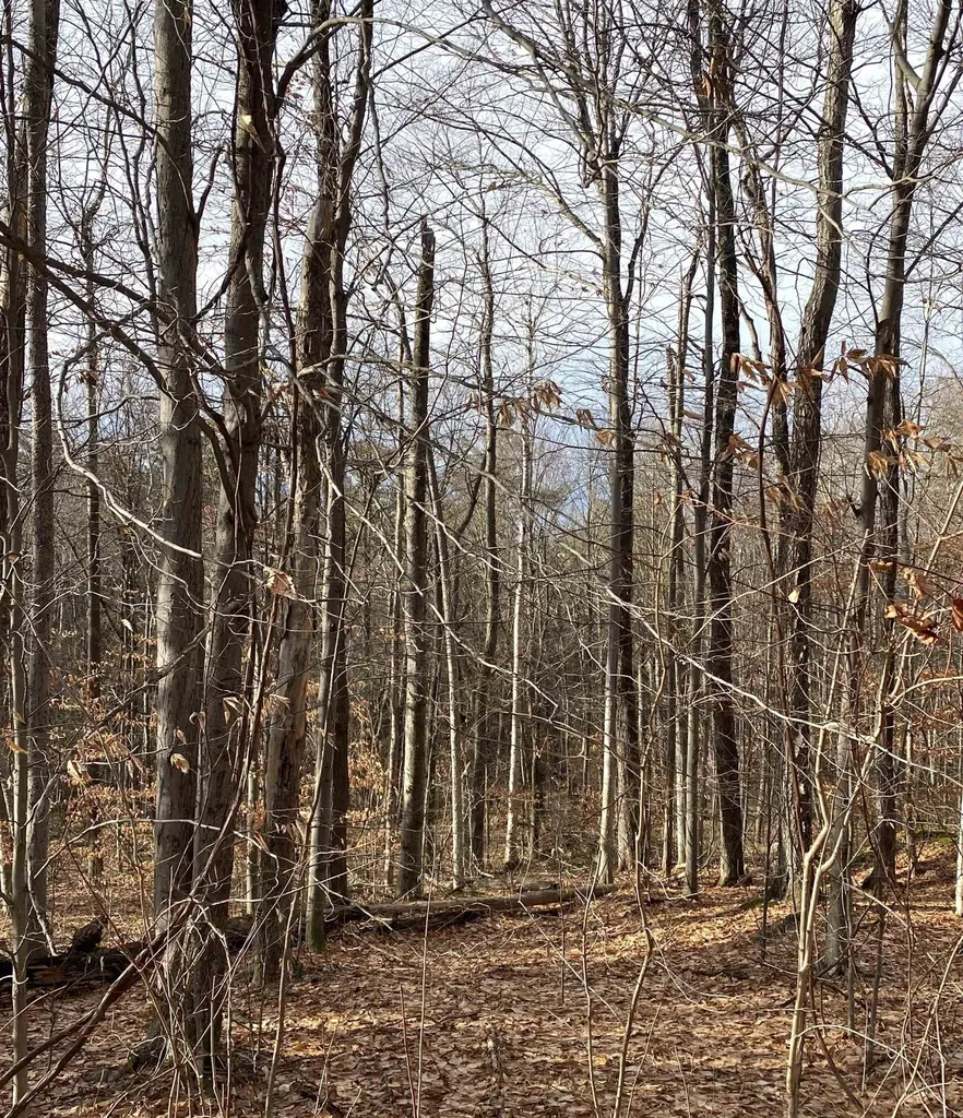 6 Fred Johnson Circle Middlebury VT 05753