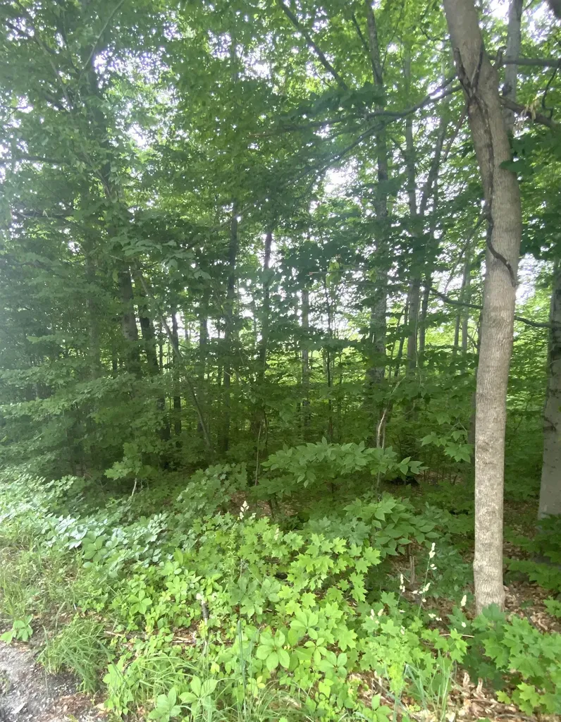 6 Fred Johnson Circle Middlebury VT 05753