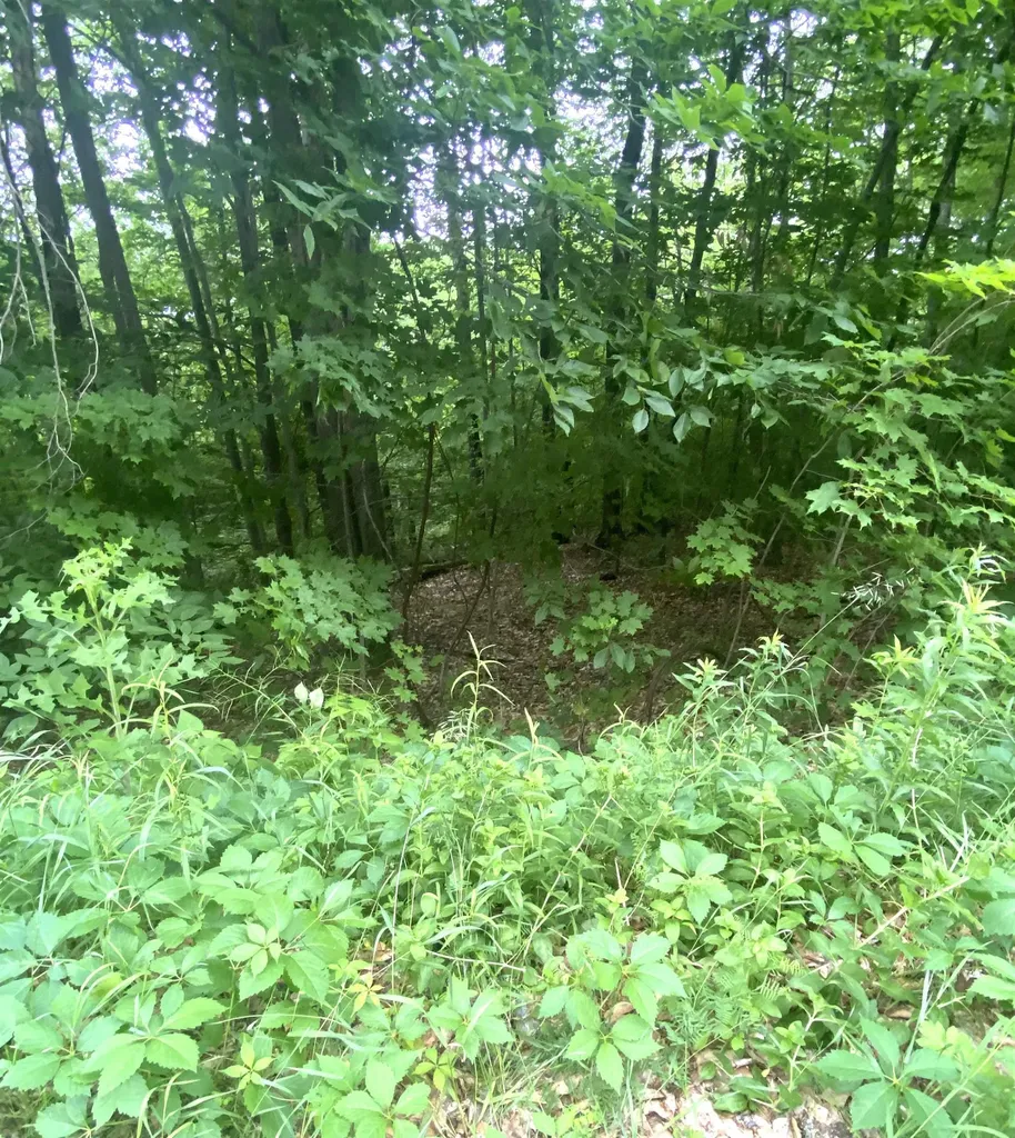 6 Fred Johnson Circle Middlebury VT 05753