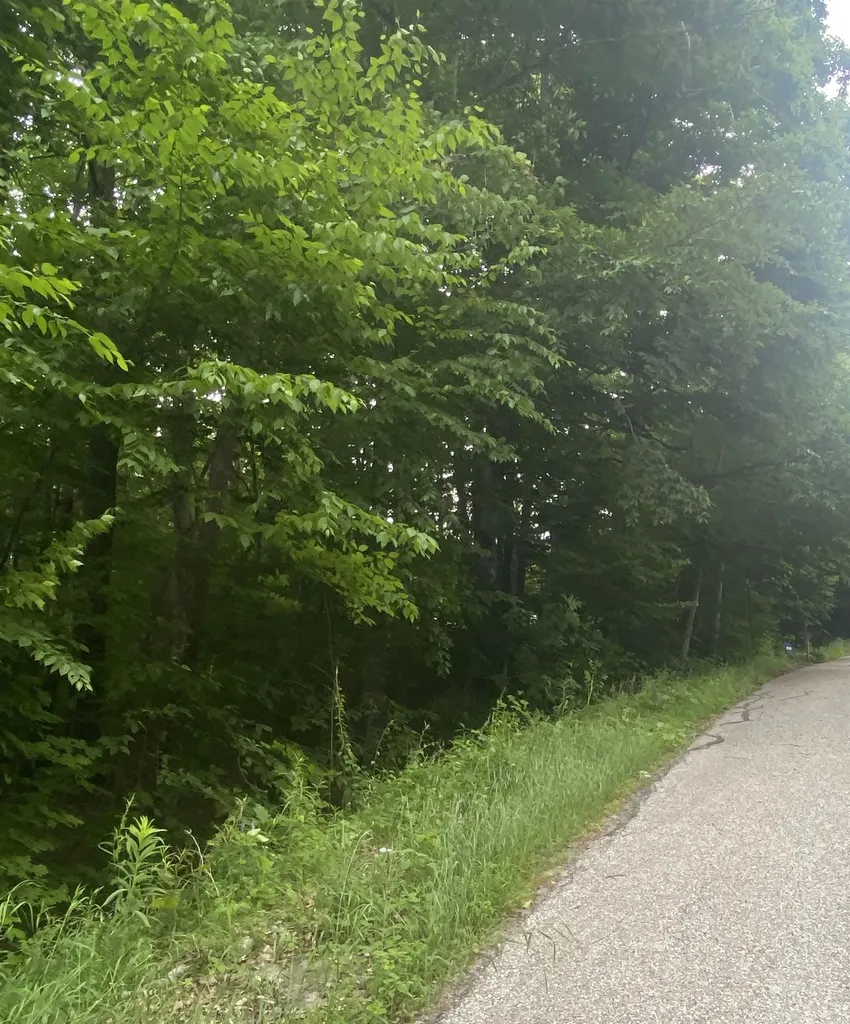 6 Fred Johnson Circle Middlebury VT 05753