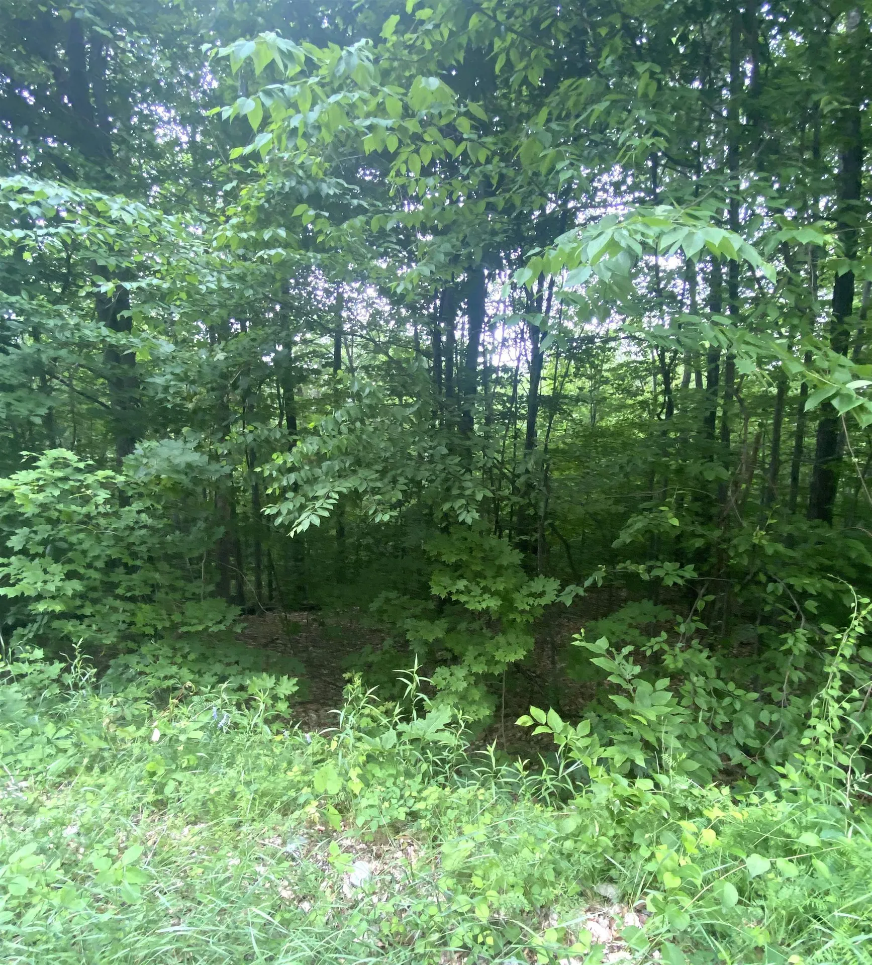 6 Fred Johnson Circle Middlebury VT 05753