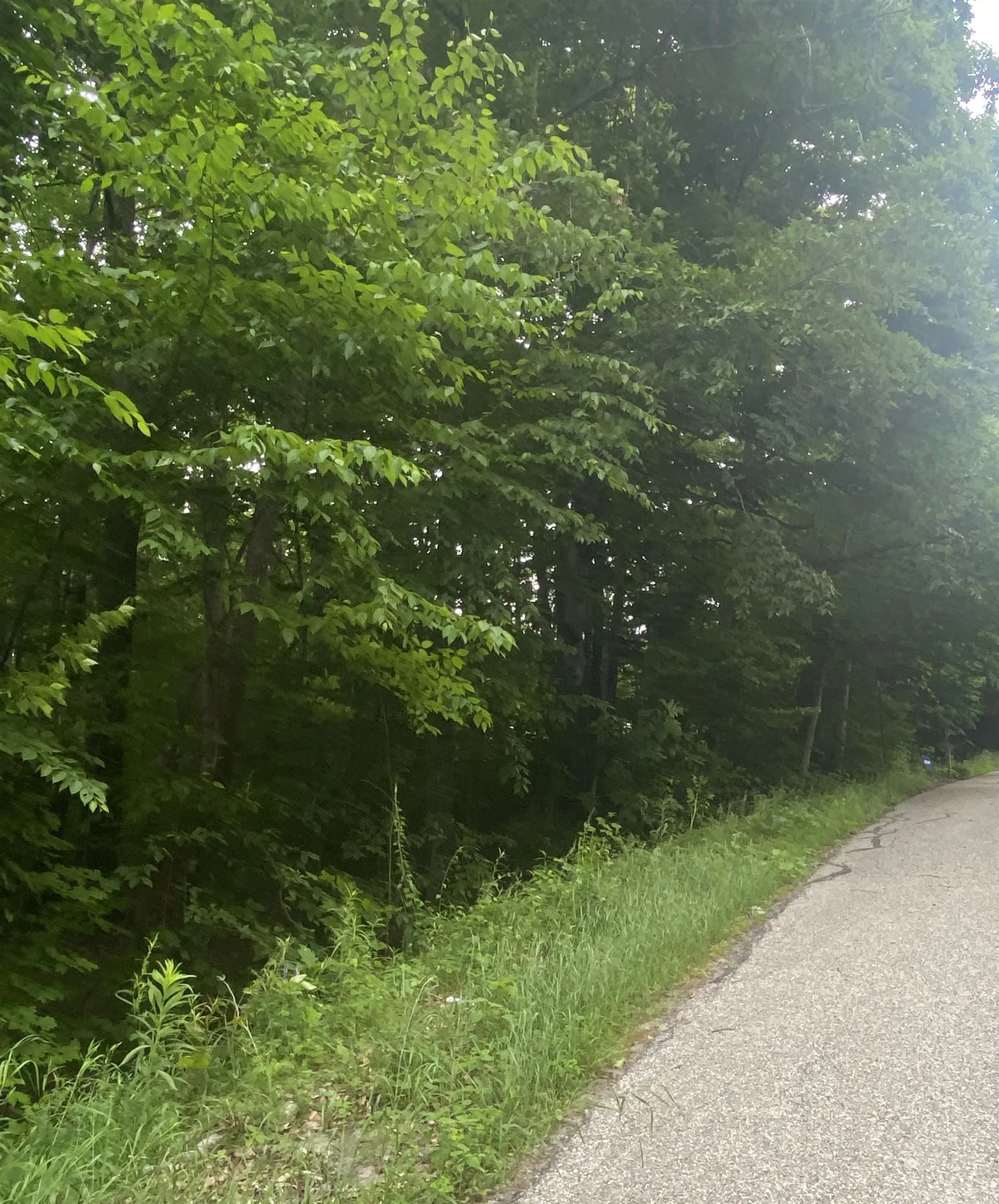 6 Fred Johnson Circle Middlebury VT 05753