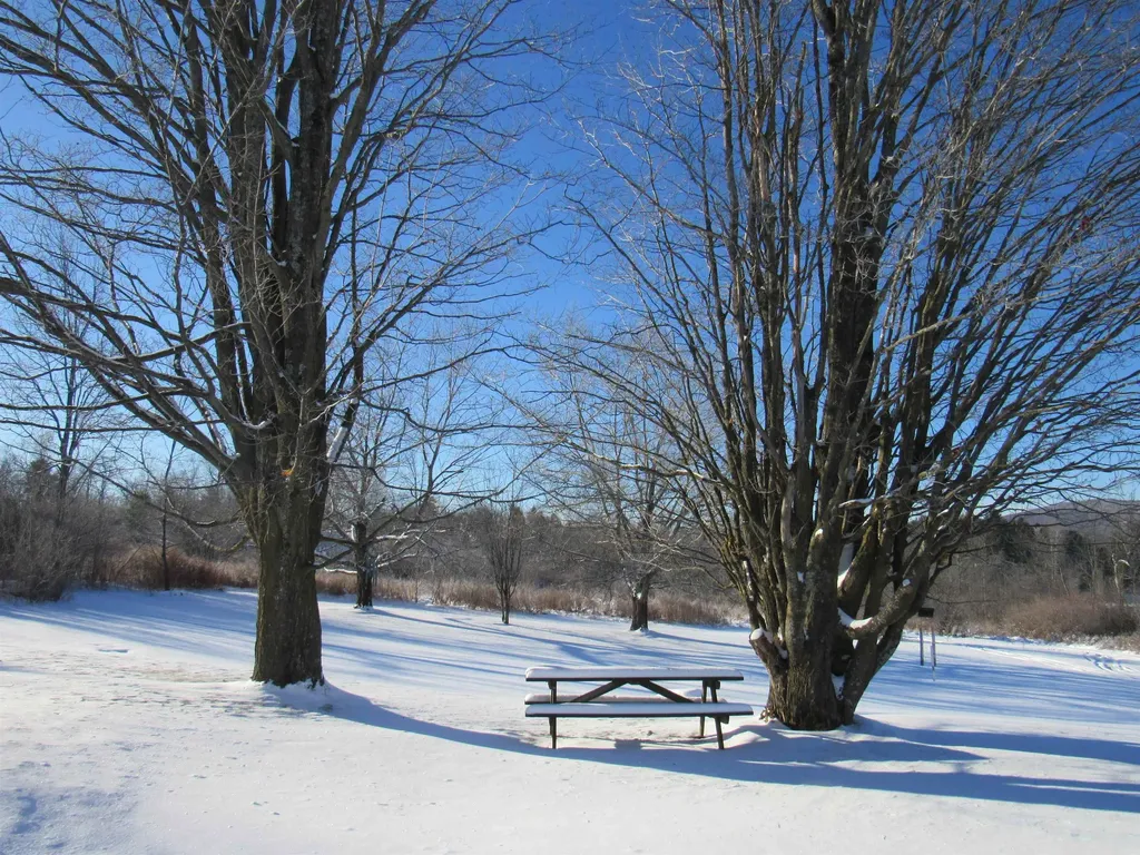 4472 Route 14 North Irasburg VT 05845