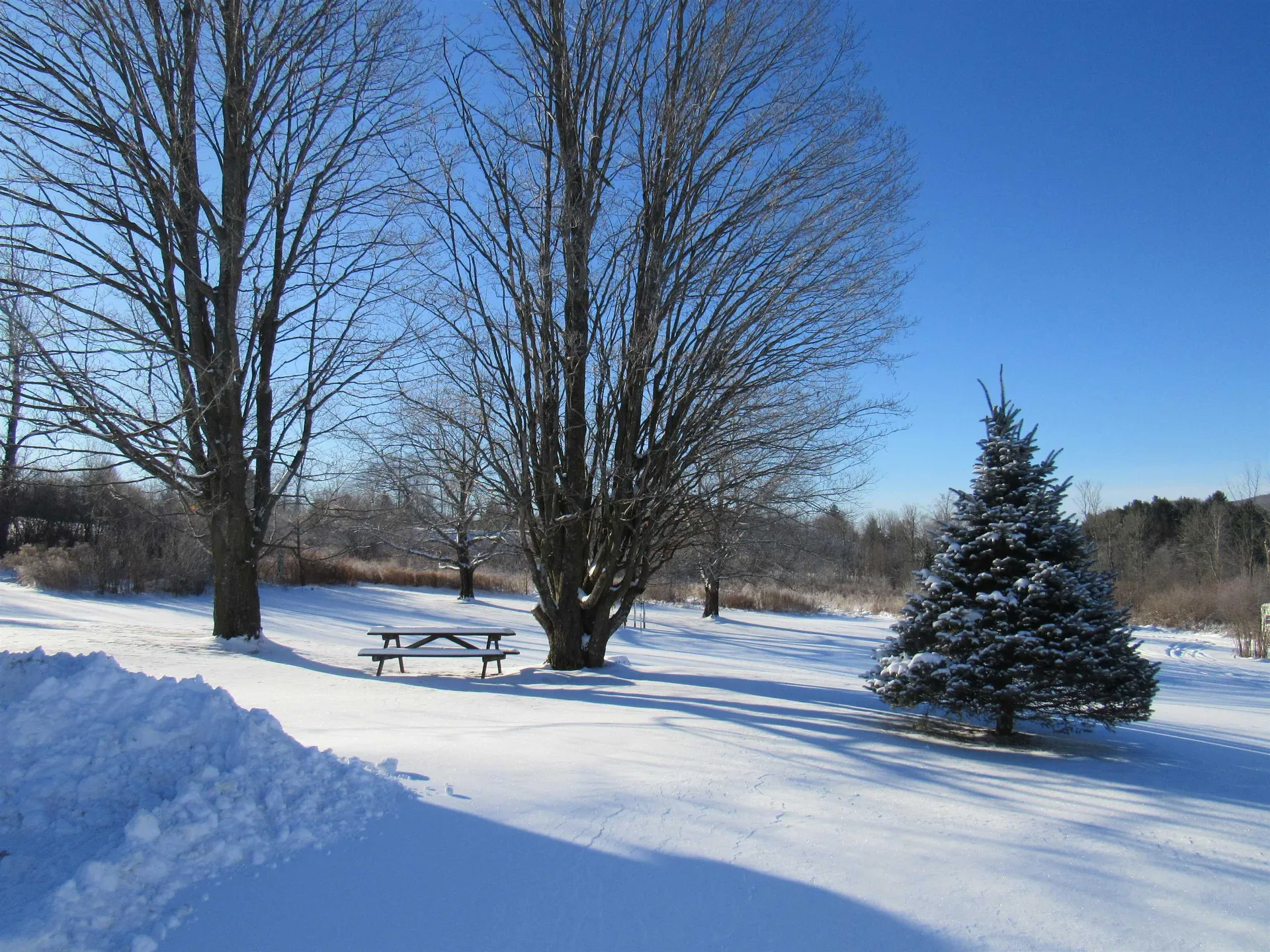 4472 Route 14 North Irasburg VT 05845