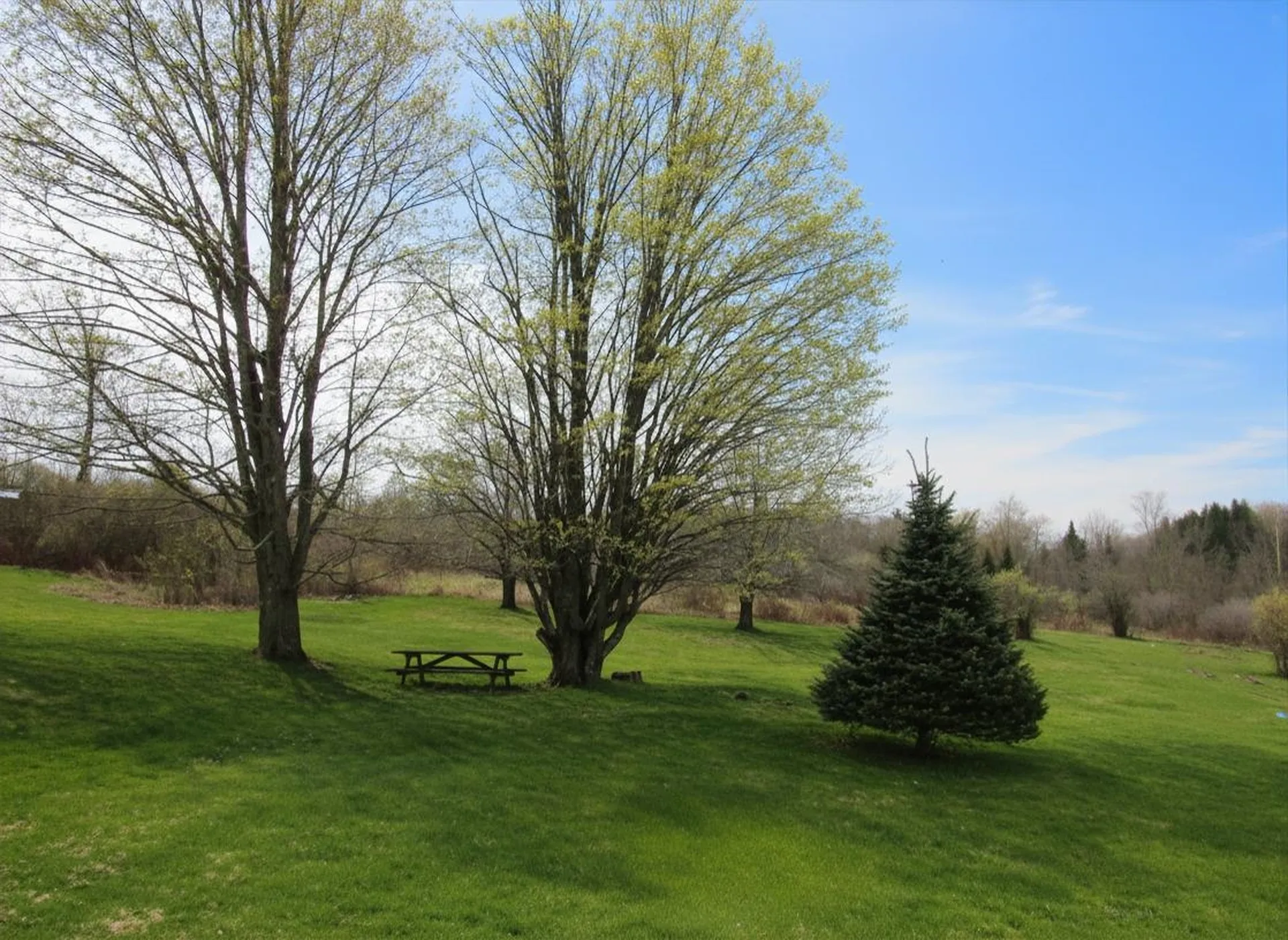 4472 Route 14 North Irasburg VT 05845