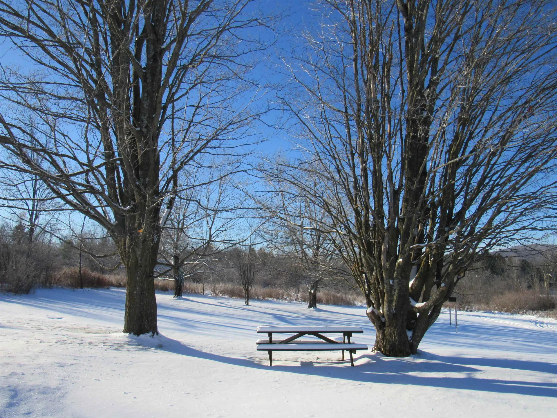 4472 Route 14 North Irasburg VT 05845