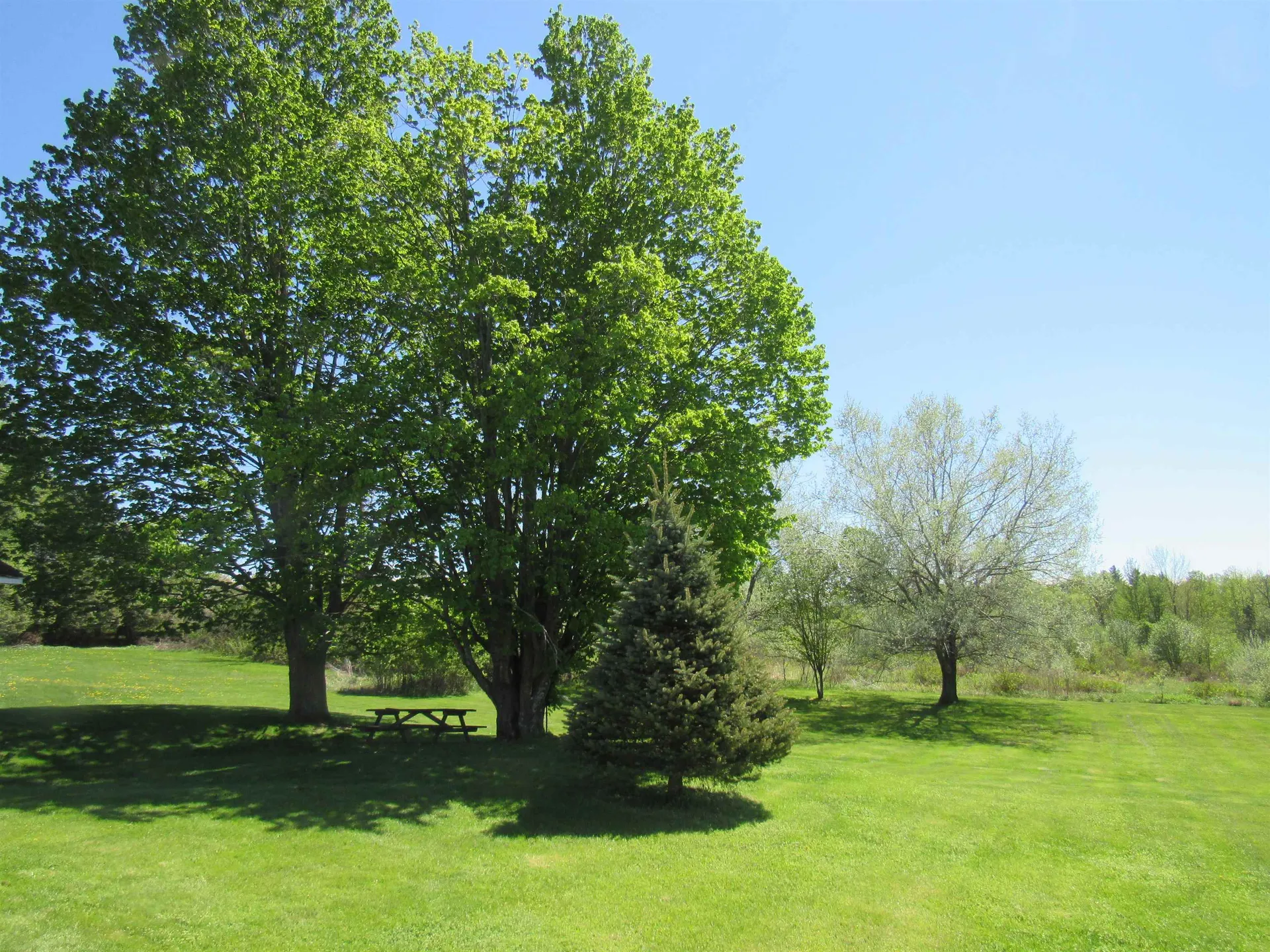 4472 Route 14 North Irasburg VT 05845