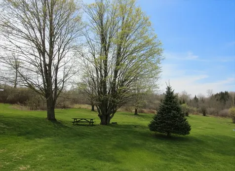 4472 Route 14 North Irasburg VT 05845