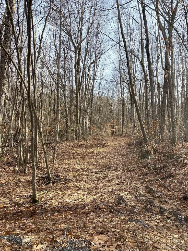 20 Forest Ridge Drive Middlebury VT 05753