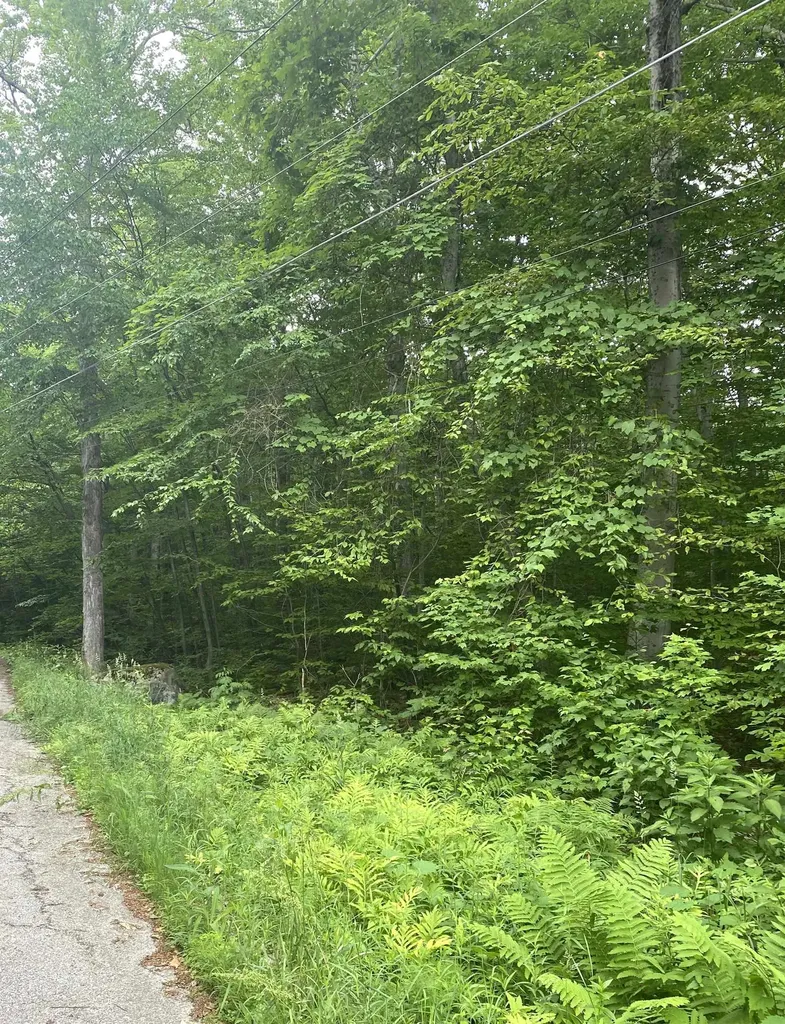 20 Forest Ridge Drive Middlebury VT 05753