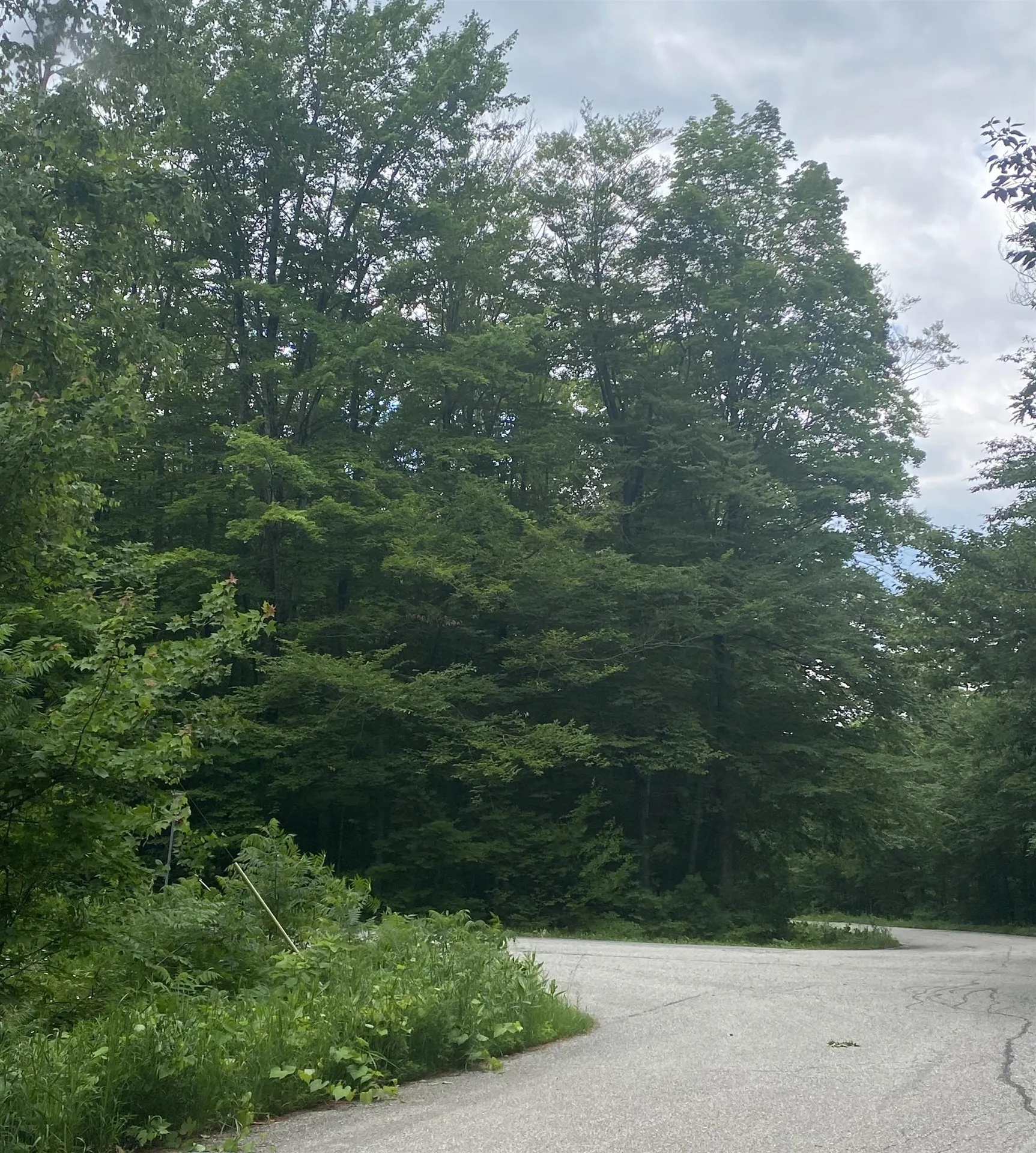 20 Forest Ridge Drive Middlebury VT 05753