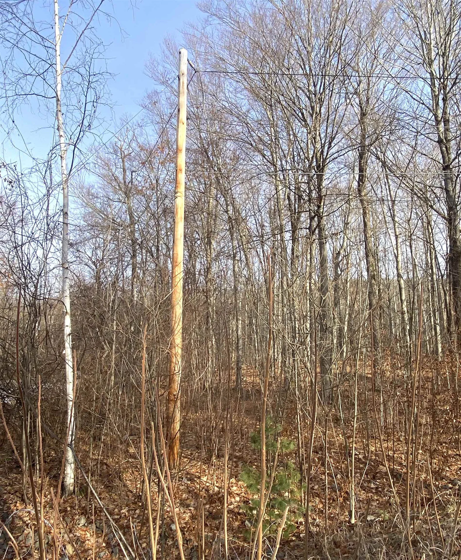 20 Forest Ridge Drive Middlebury VT 05753