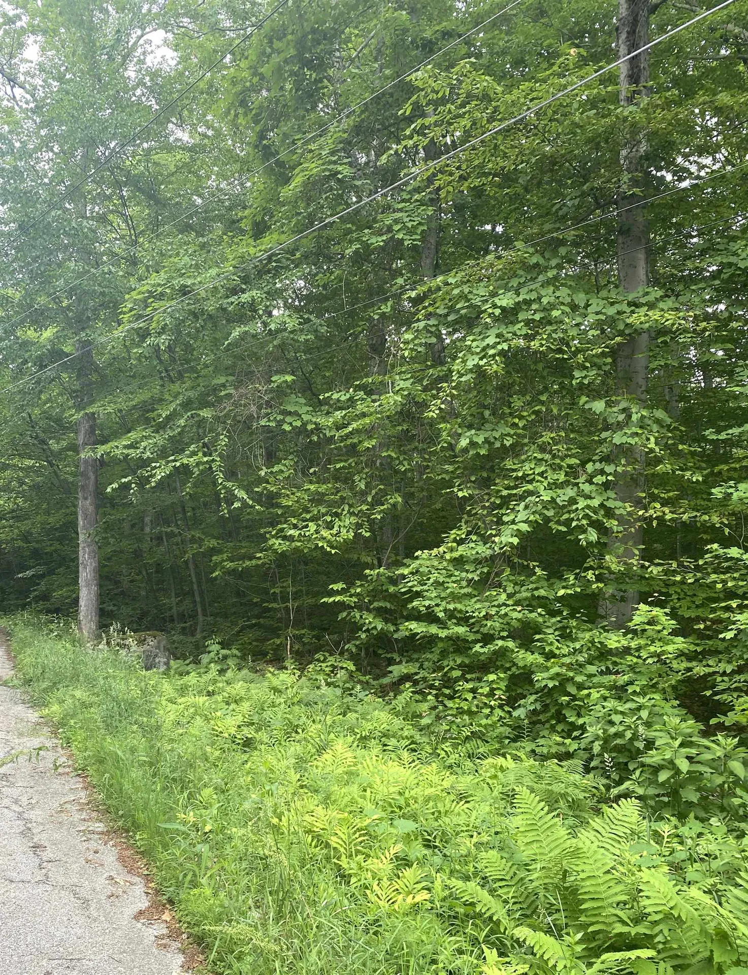 20 Forest Ridge Drive Middlebury VT 05753