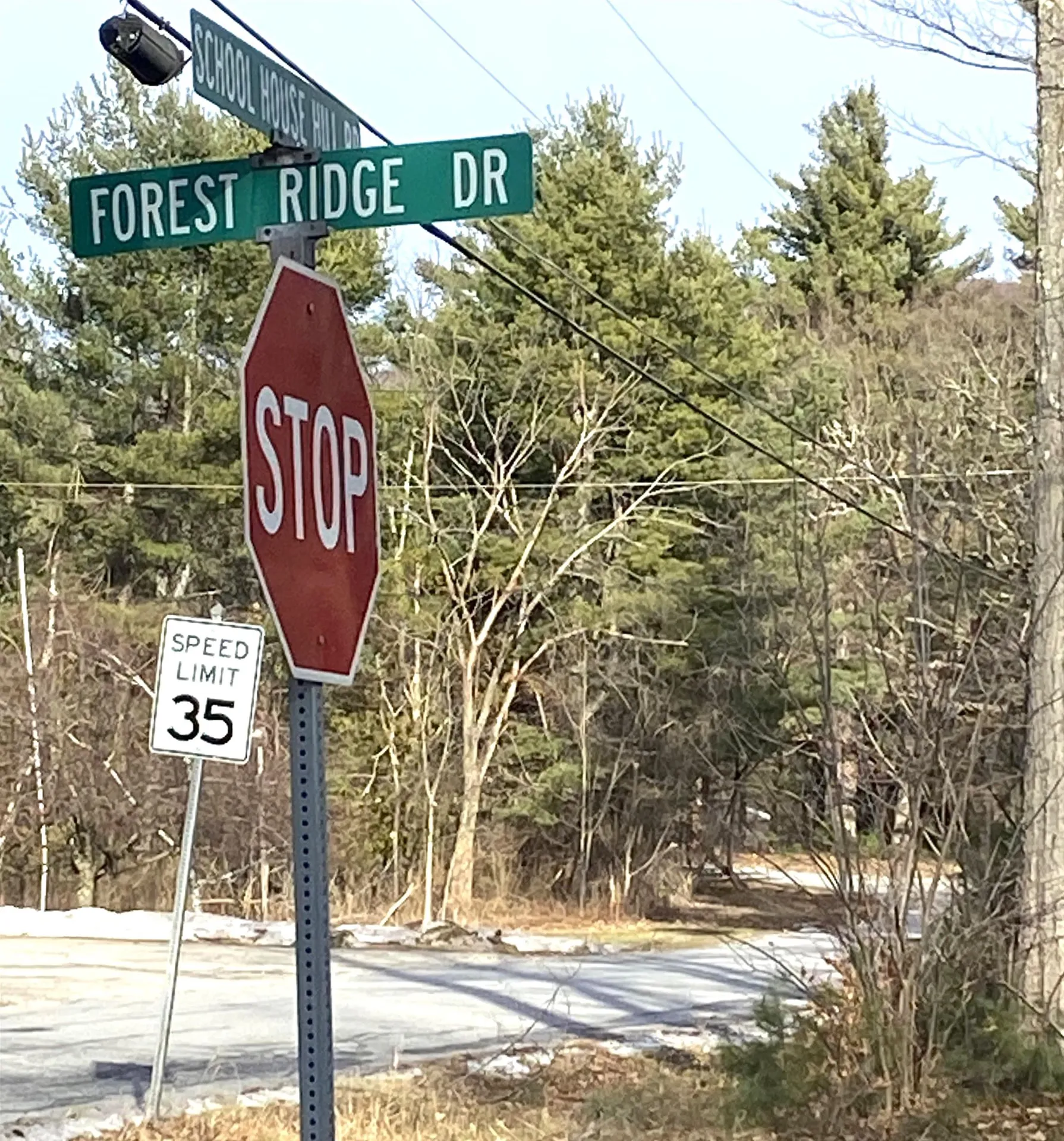 20 Forest Ridge Drive Middlebury VT 05753